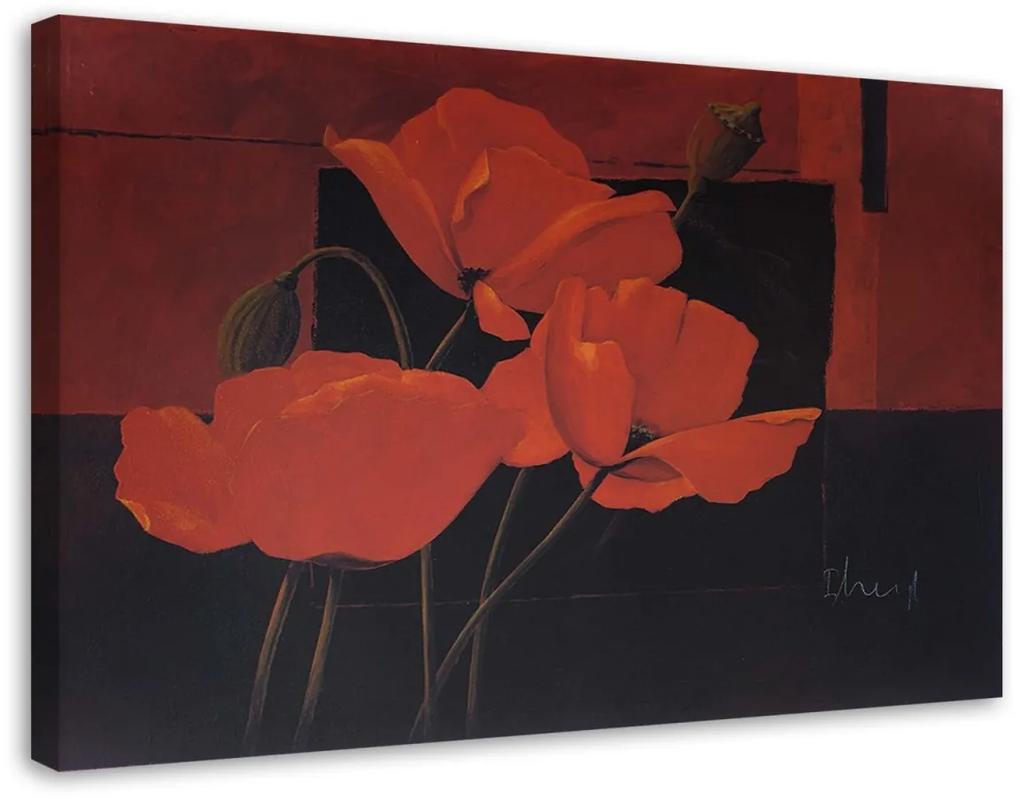 Obraz na plátně Polní máky Květiny Červená - 90x60 cm
