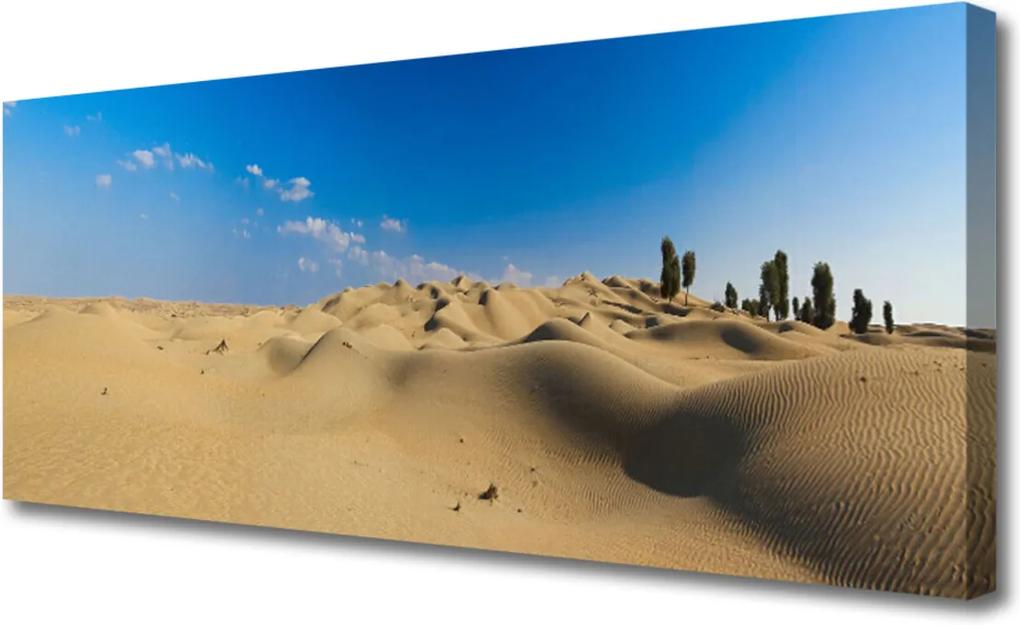 Obraz na plátně púšť Krajina