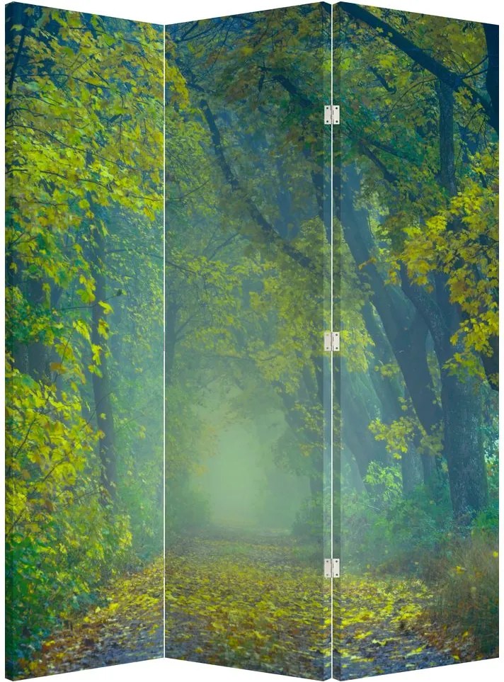 Paraván - Cesta lemovaná stromami (126x170 cm)