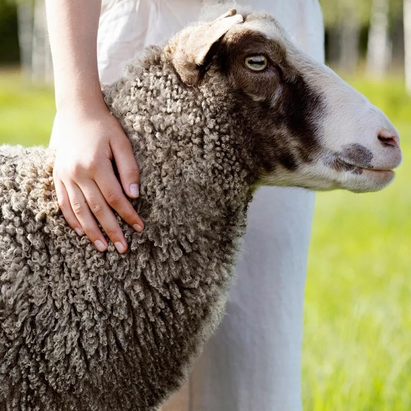 Vlnená deka Kaamos 100x150, olivová / Finnsheep