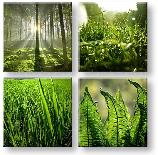 Obraz na stenu Sunrise of Nature | rôzne rozmery