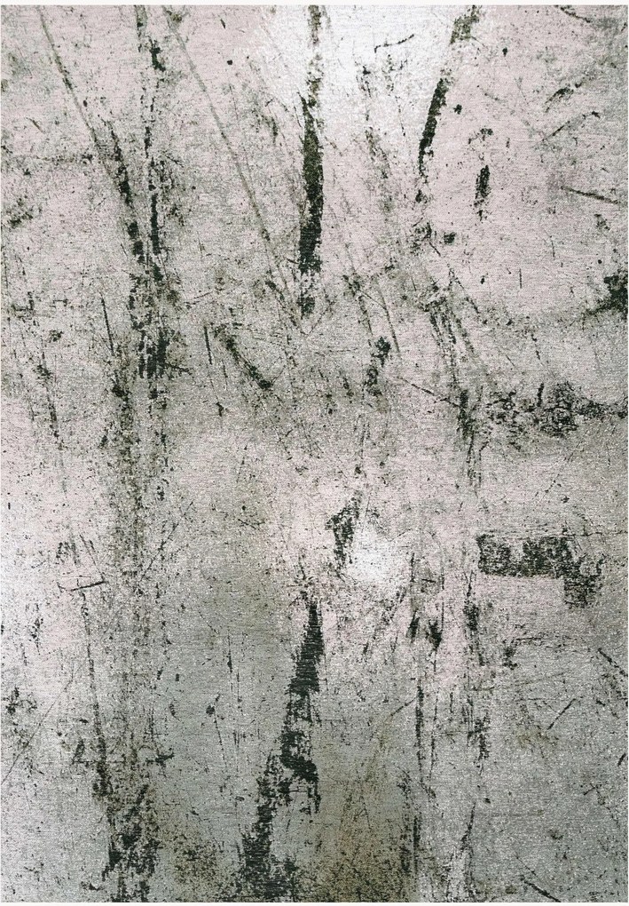 Umývateľný koberec's nízkym vlasom do interiéru/exteriéru Alpine