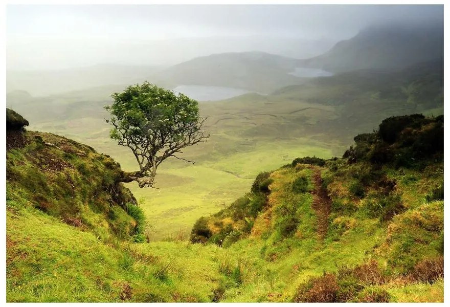 Fototapeta Vliesová Isle of skye škótsko 312x219 cm