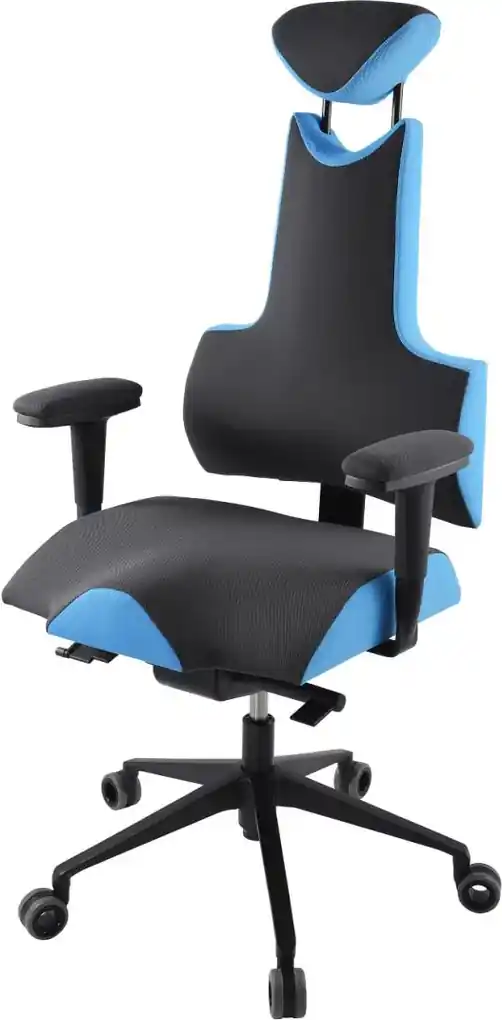 PROWORK Zdravotná ergonomická stolička THERAPIA ENERGY XL PRO 4110 | BIANO