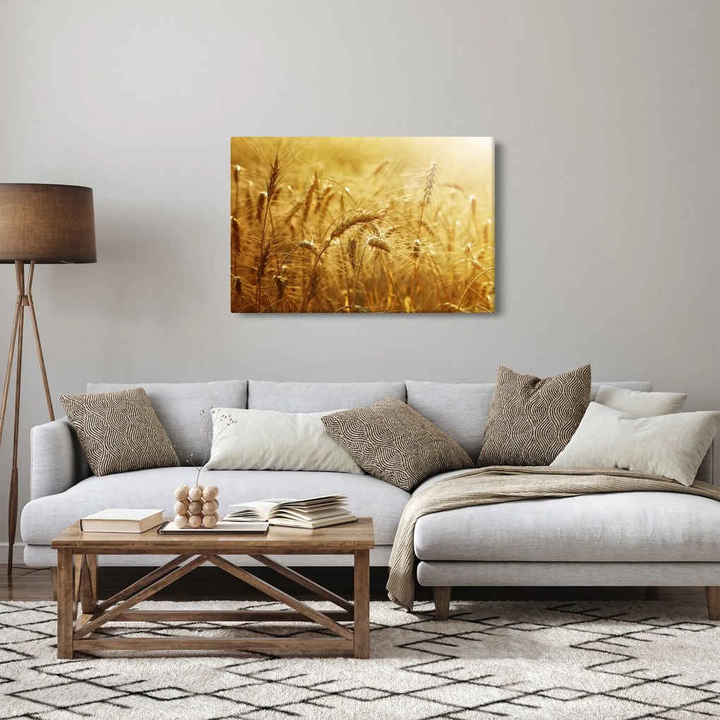 Obraz - Klasy obilia (90x60 cm)