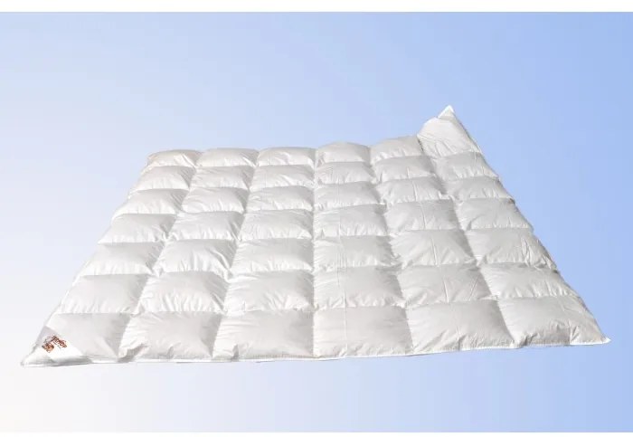 Termop paplón Luxus 200x220 cm celoročný páperový