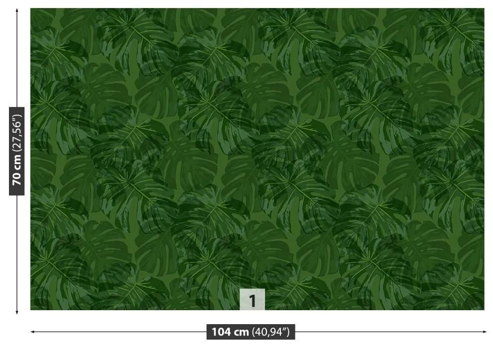 Fototapeta Vliesová Tropické rastliny 416x254 cm