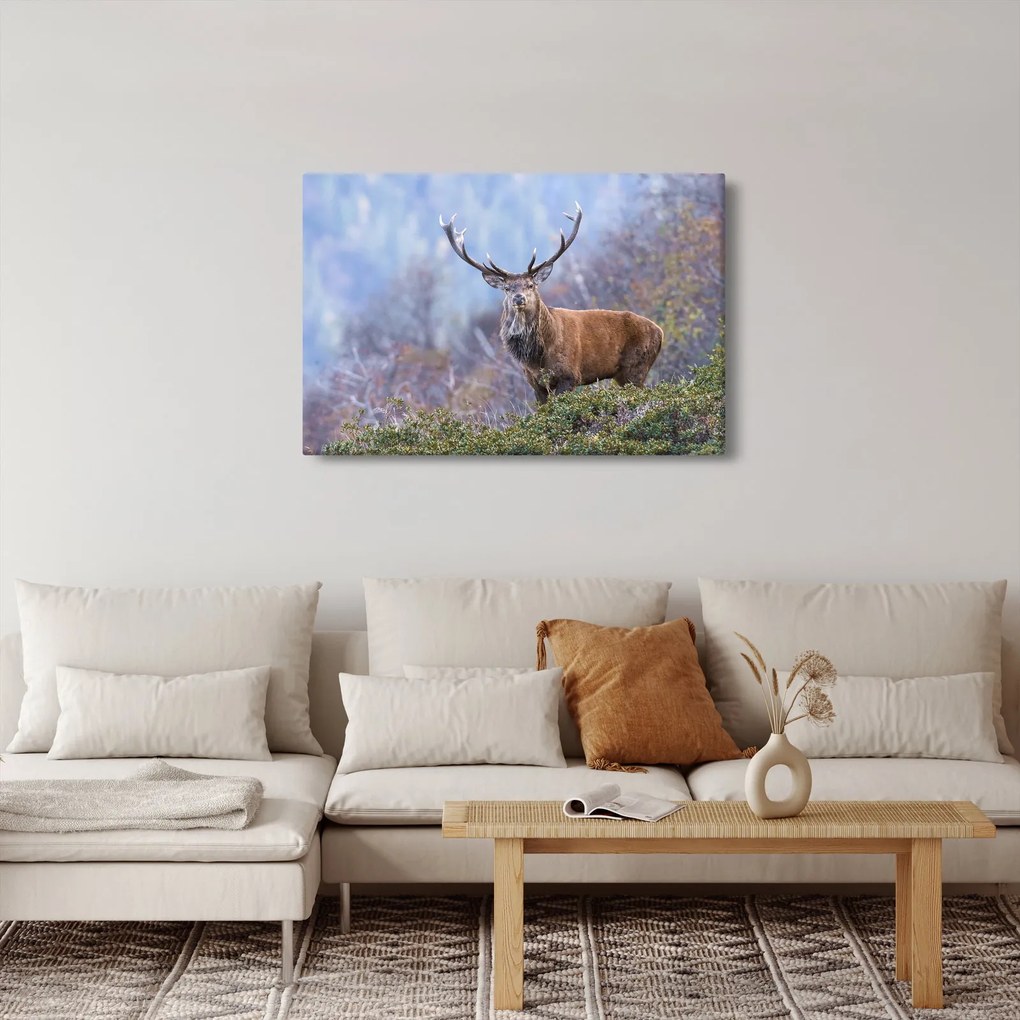 Obraz - Jeleň v krajine (90x60 cm)