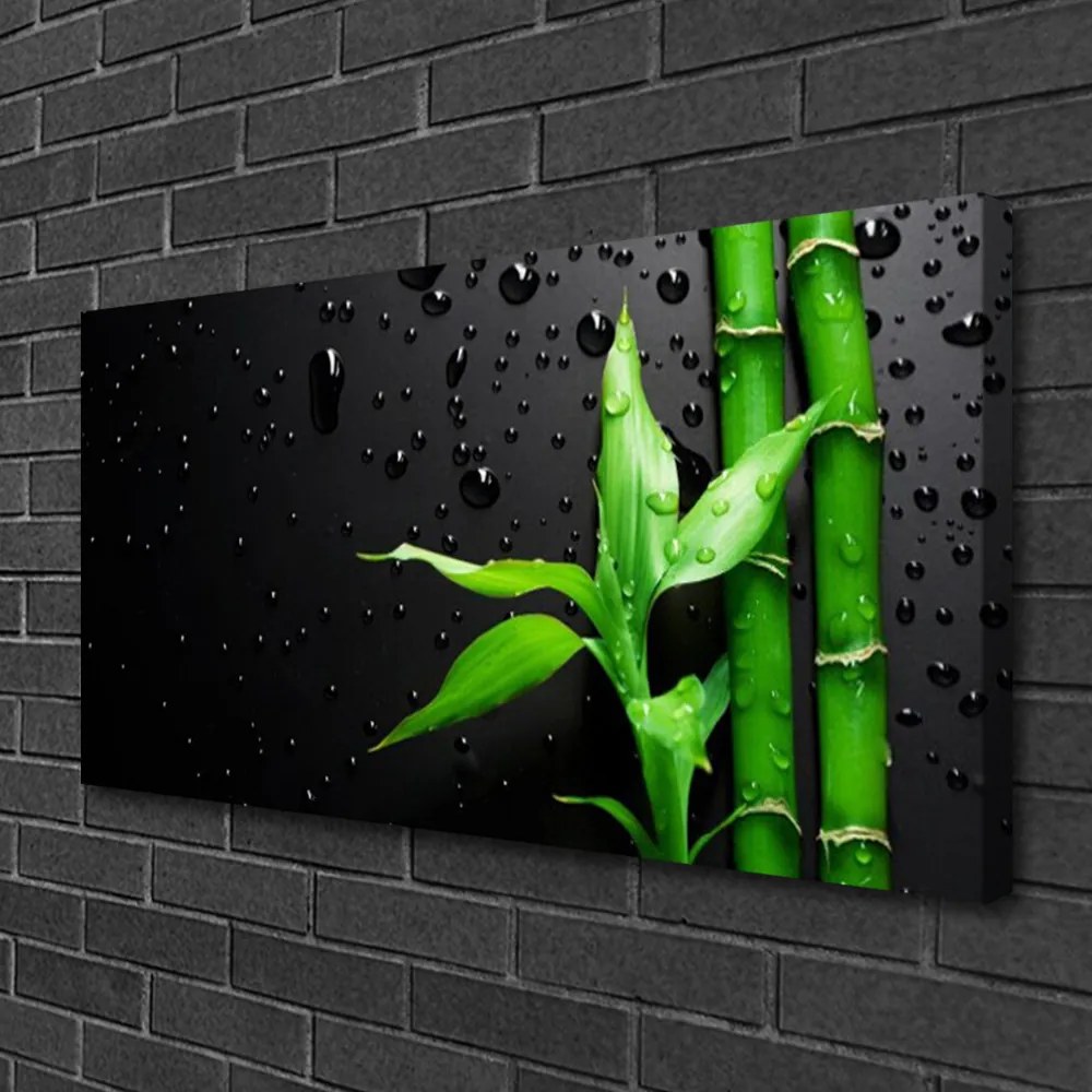 Obraz na plátne Bambus listy rastlina 120x60 cm