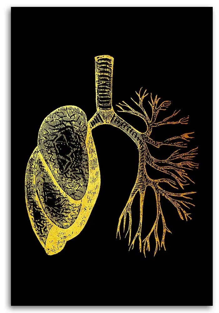 Gario Obraz na plátne Zlatá anatómia, Pľúca - Gab Fernando Rozmery: 40 x 60 cm
