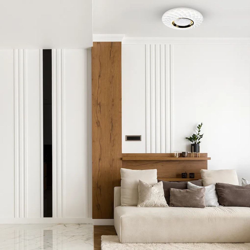 Stropné LED svietidlo Tokyo, 1x LED 24w, 3000-6000k, w/g, s ovládačom