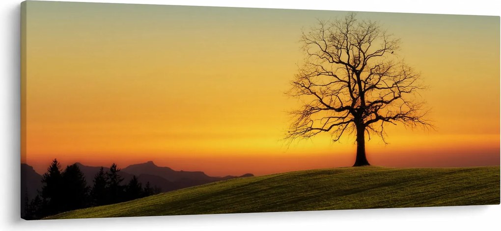 Obraz stromu na poli (120x50 cm)