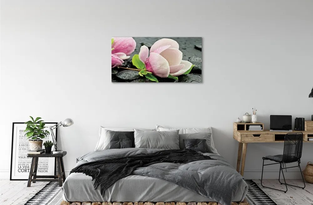 Obraz canvas Magnolia kamene 125x50 cm