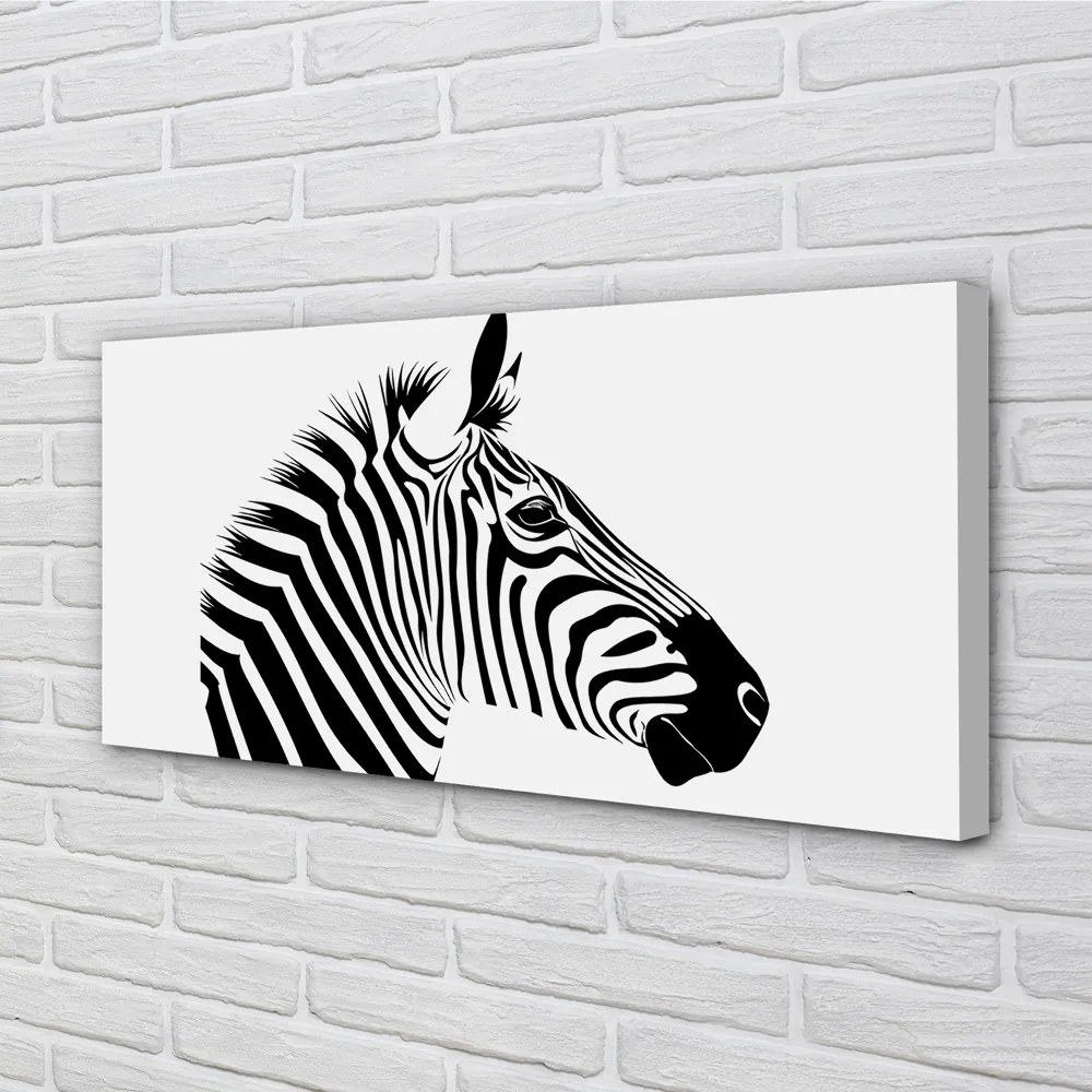 Obraz na plátne ilustrácie zebra 120x60 cm