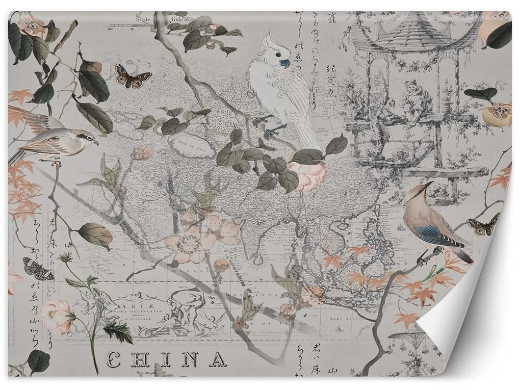 Gario Fototapeta Vintage mapa a vtáky - Andrea Haase Materiál: Vliesová, Rozmery: 200 x 140 cm