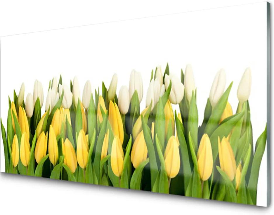 Akrylové obraz Tulipány květiny rostlina