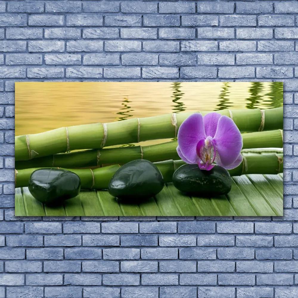 Obraz na akrylátovom skle Kvet kamene bambus príroda 120x60 cm