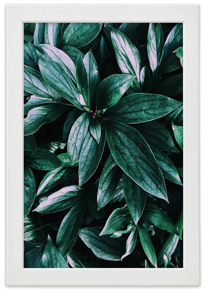 Gario Plagát Fascinujúce listy Farba rámu: Bez rámu, Rozmery: 30 x 45 cm