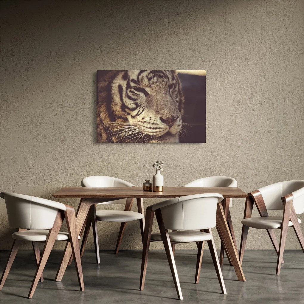 Obraz tigra (90x60 cm)