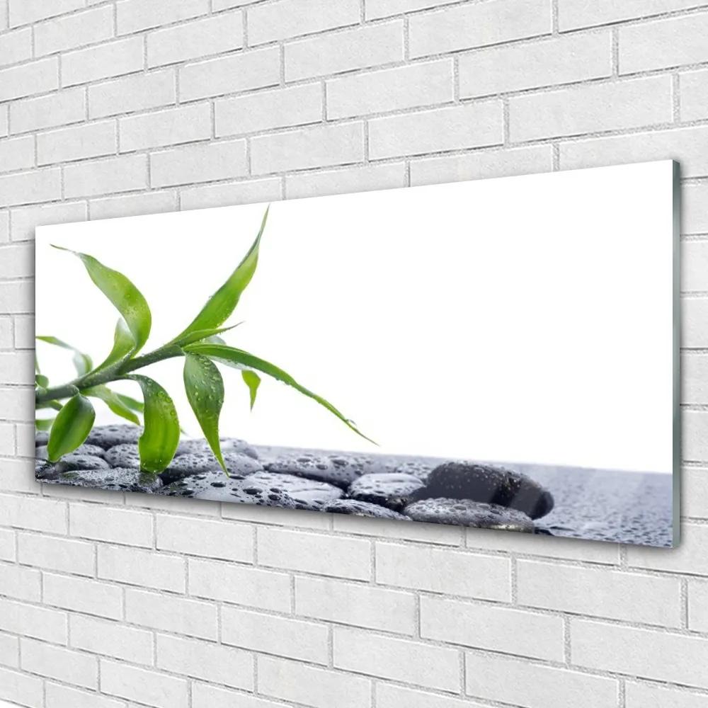 Obraz plexi List príroda kamene rastlina 125x50 cm