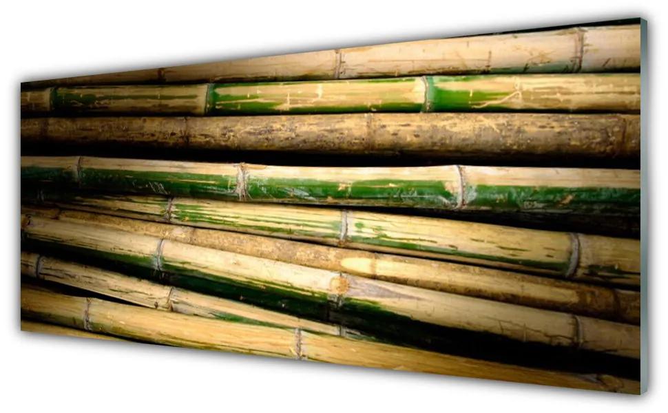 Obraz na akrylátovom skle Bambus rastlina príroda 125x50 cm
