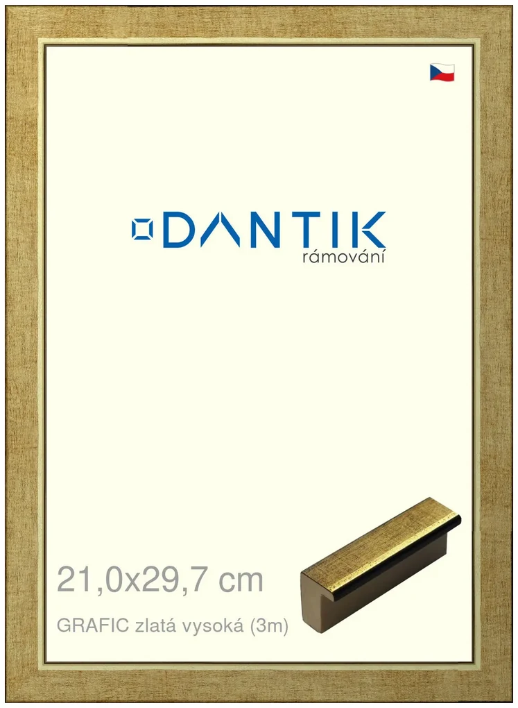 DANTIK rám na obraz 21x29,7 | GRAFIC zlatá vysoká (Sklo Čiré)