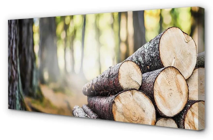 Obraz canvas Drevo prales prírode 125x50 cm