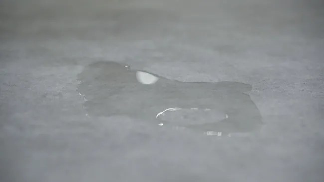 PVC podlaha Viva Prato S90 sivá