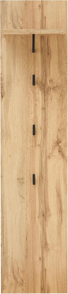 XXXLutz VEŠIAKOVÝ PANEL, farba duba, 35/153/30 cm Xora - Vešiakové steny - 002737046909