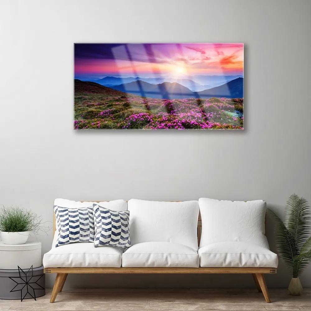 Obraz na skle Hora lúka kvety príroda 125x50 cm