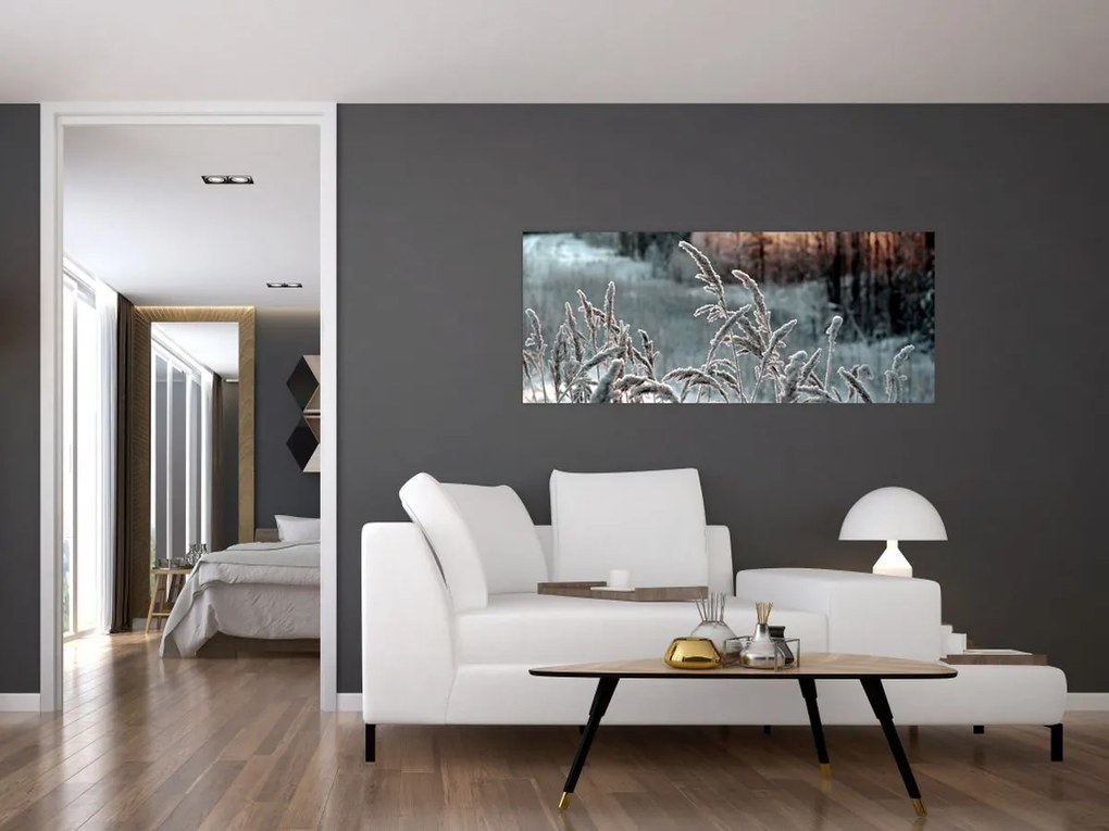 Obraz - Zamrznutá lúka (120x50 cm)