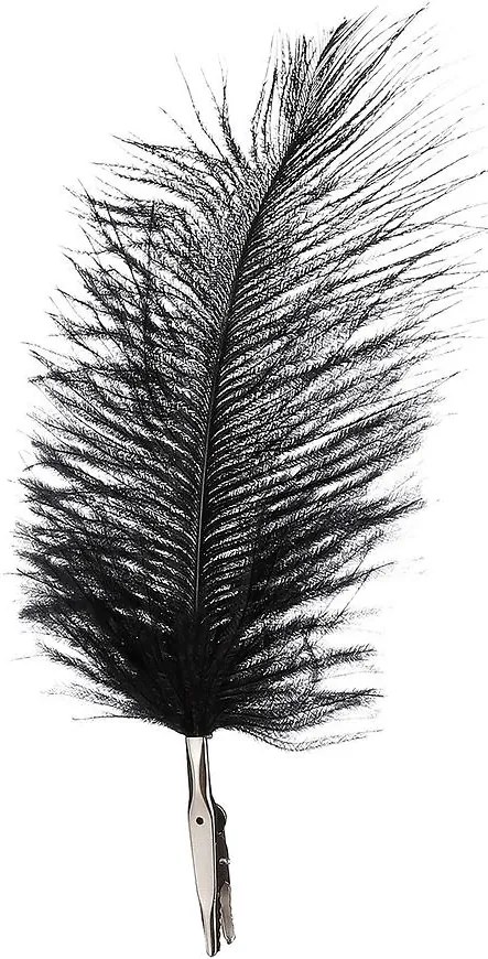 Čierne pierko 6 ks 18x9 cm 1112650