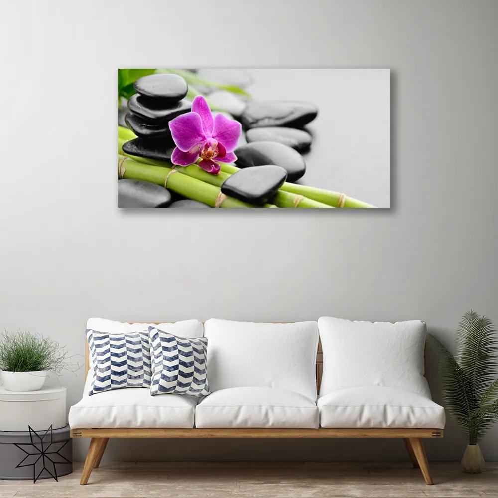 Obraz Canvas Bambus kvet kamene umenie 125x50 cm