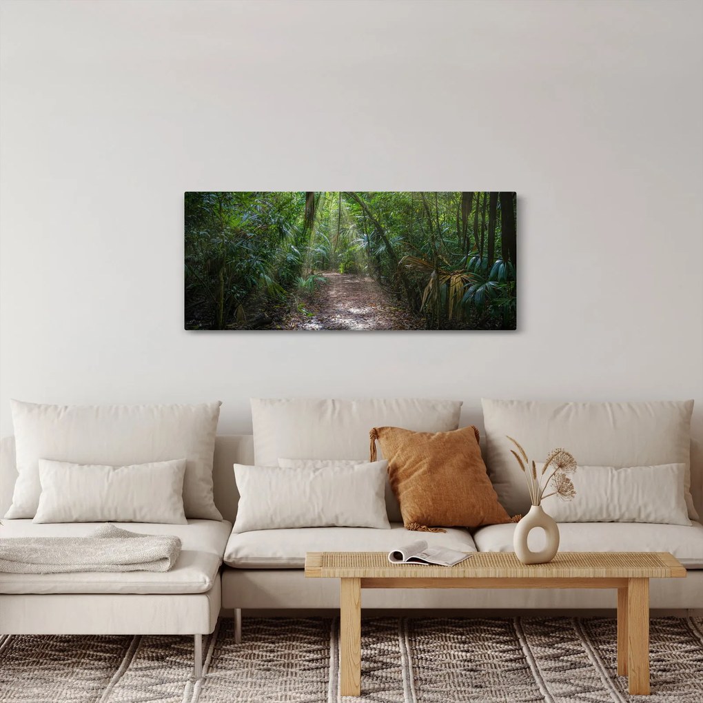 Obraz - Slnečné lúče v džungli (120x50 cm)