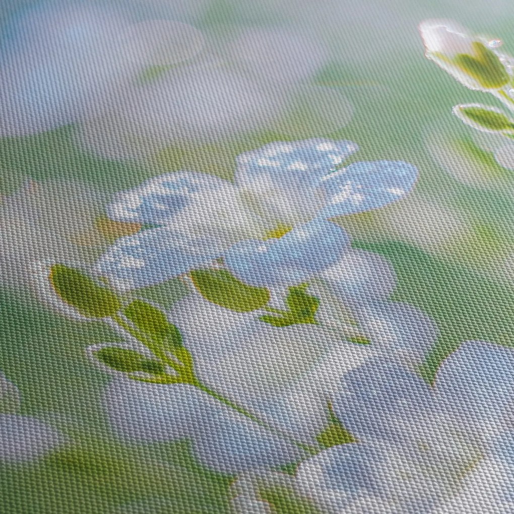 Obraz - Jemné kvety (120x50 cm)
