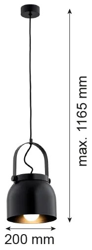 Argon 8281 - Luster na lanku LOGAN 1xE27/15W/230V pr. 20 cm čierna