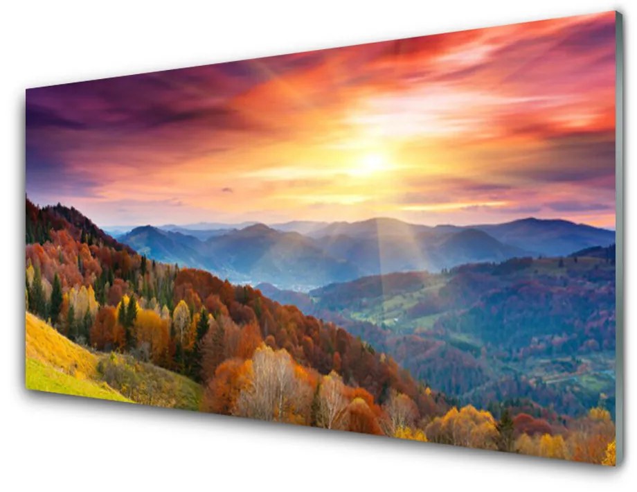 Obraz plexi Hora les slnko krajina 100x50 cm