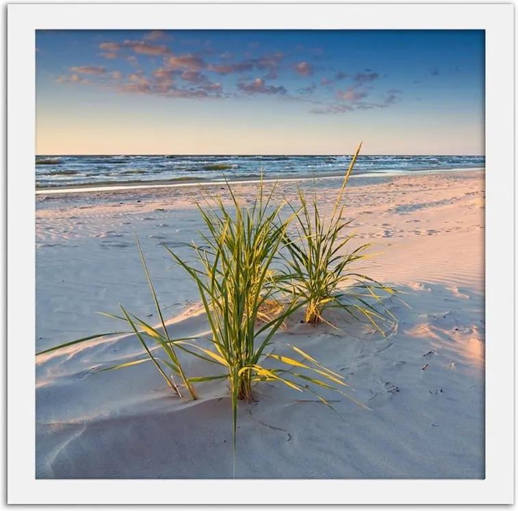 CARO Obraz v ráme - Green Grass On The Beach 2 Biela 20x20 cm