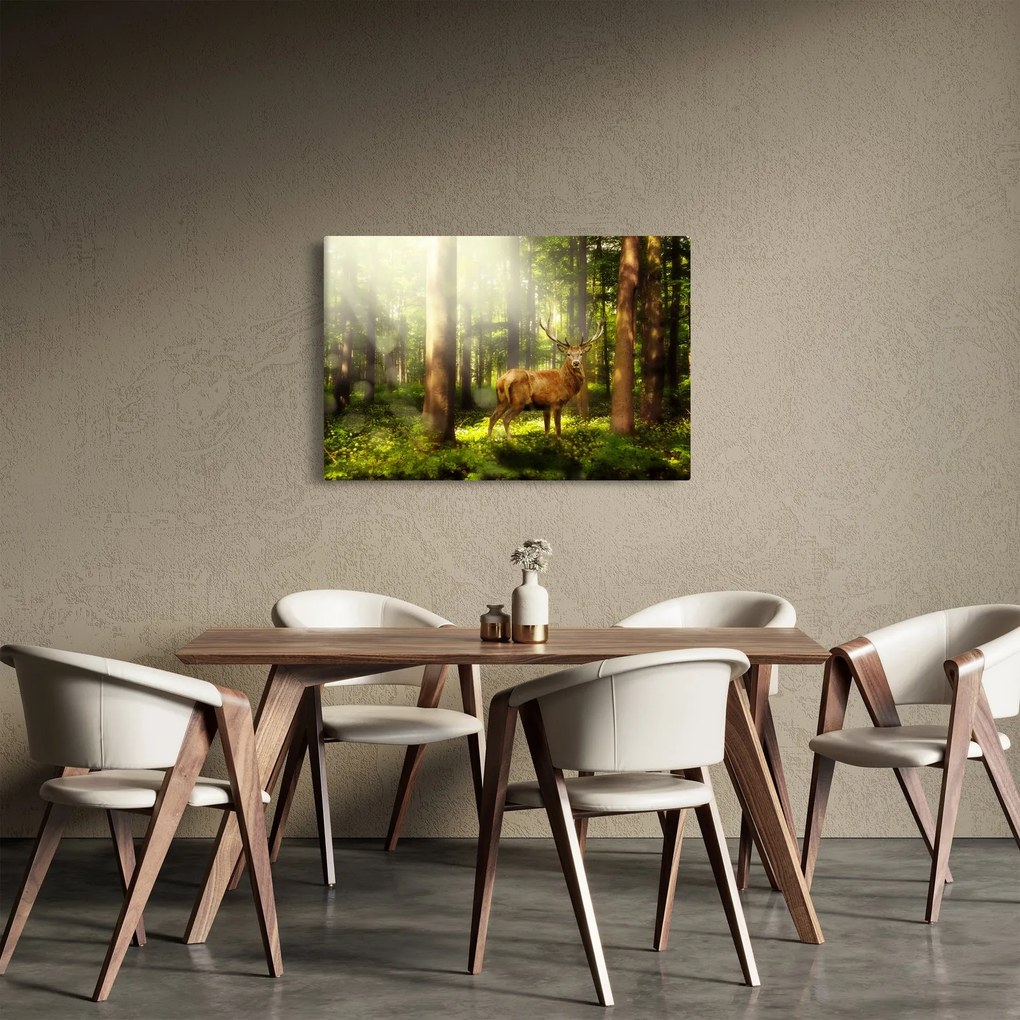 Obraz jeleňa v lese (90x60 cm)