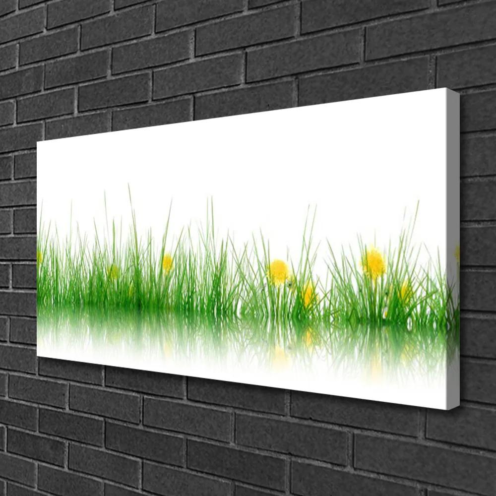 Obraz Canvas Príroda tráva kvety 125x50 cm