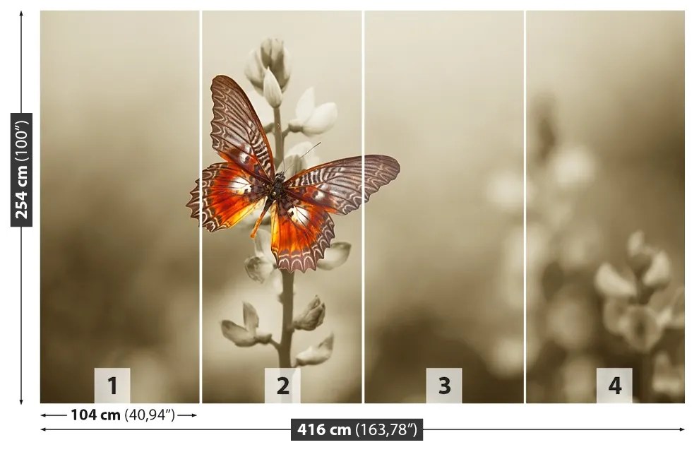 Fototapeta Vliesová Motýľ kvety 250x104 cm