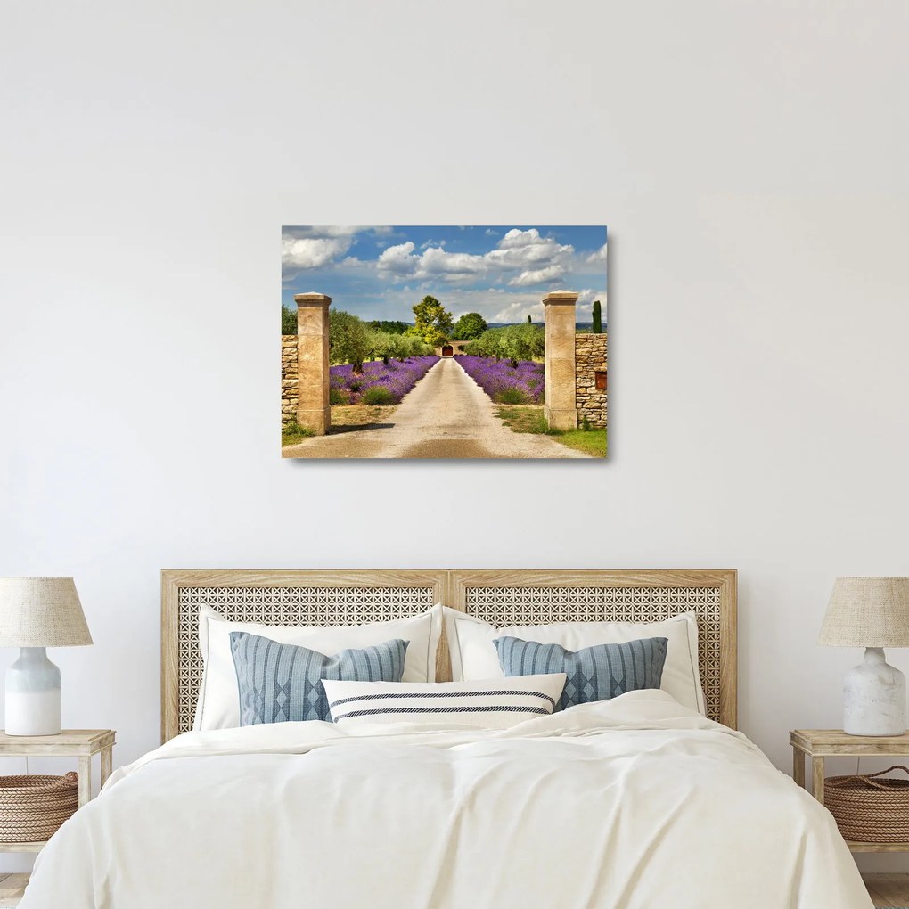 Sklenený obraz - Levanduľové cesty (70x50 cm)