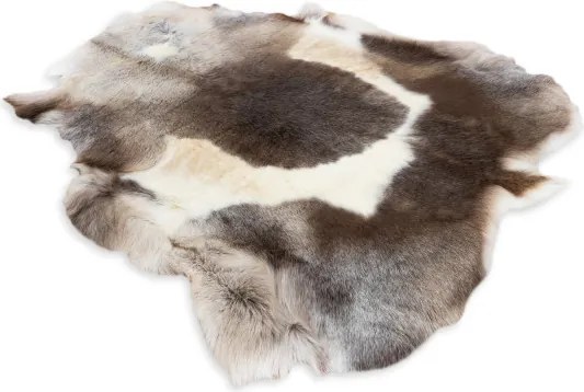 Koberec RENIFER POK019 hnedý