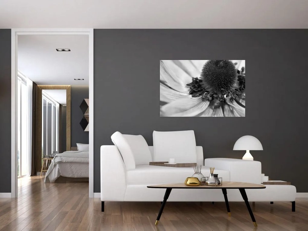 Obraz - Kvetina v čiernobielej (90x60 cm)
