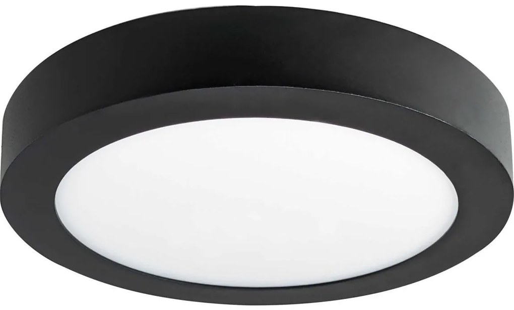 LED Stropné svietidlo FENIX LED/12W/230V 2800K pr. 17 cm