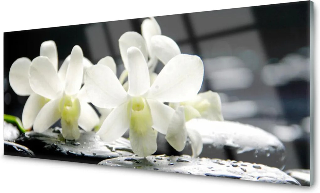 Sklenený obklad Do kuchyne Kamene Kvety Orchidea