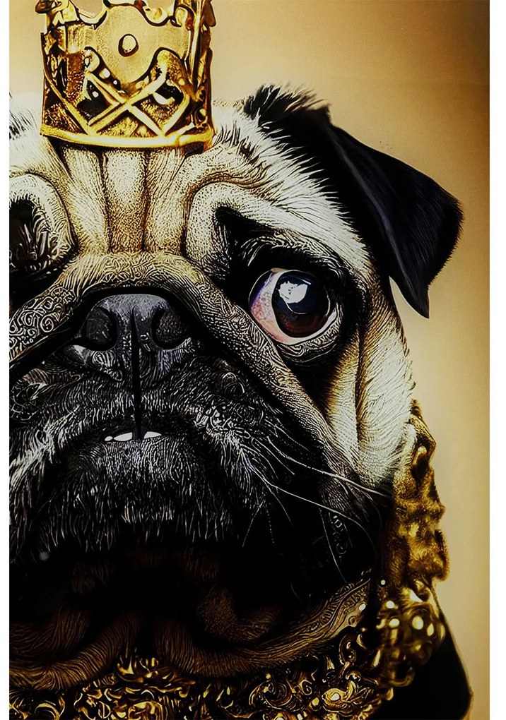 Pug obraz čierno-zlatý 40x60 cm