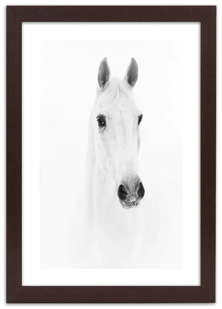 Gario Plagát Sivý kôň Farba rámu: Bez rámu, Rozmery: 70 x 100 cm