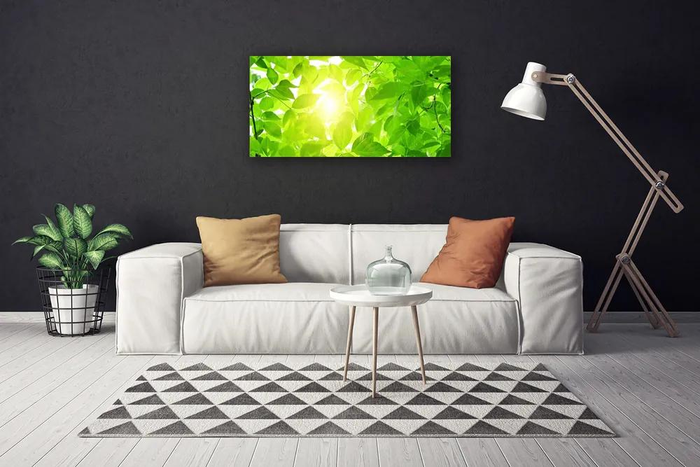 Obraz Canvas Listy príroda slnko rastlina 120x60 cm