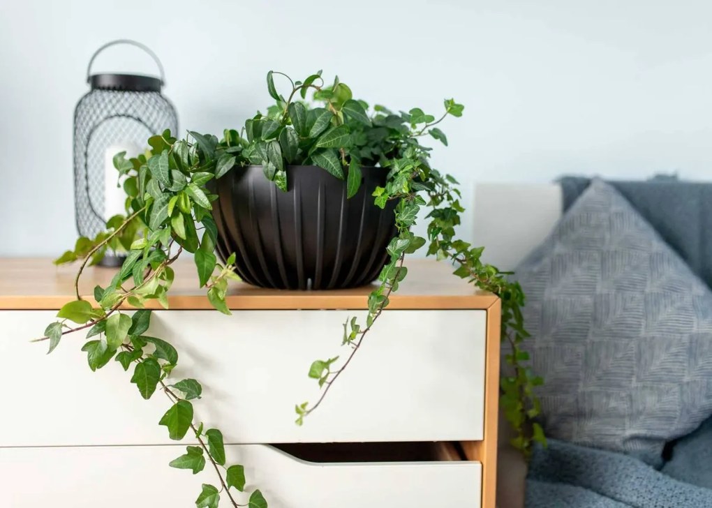 Sada 2 květináčů STRIPPED ECO antracitová